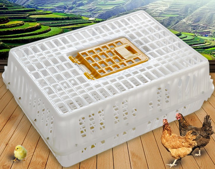 活鸡鸭运输专用塑料鸡笼带盖子方便拿取加厚鸡笼量大价格更优惠